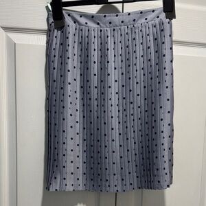 Polka Dot Pleated Skirt - Blue and White